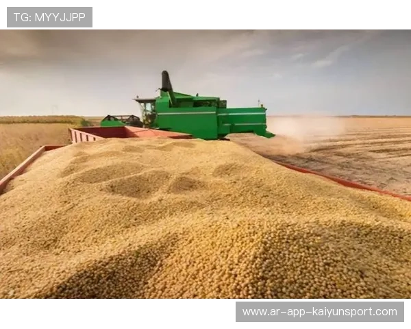 中国贸易策略升级，美豆采购划清界限，美豆市场的现状